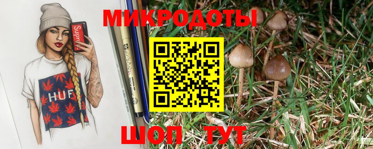 Галлюциногенные грибы Magic Shrooms  Вход с VPN  Вологда 